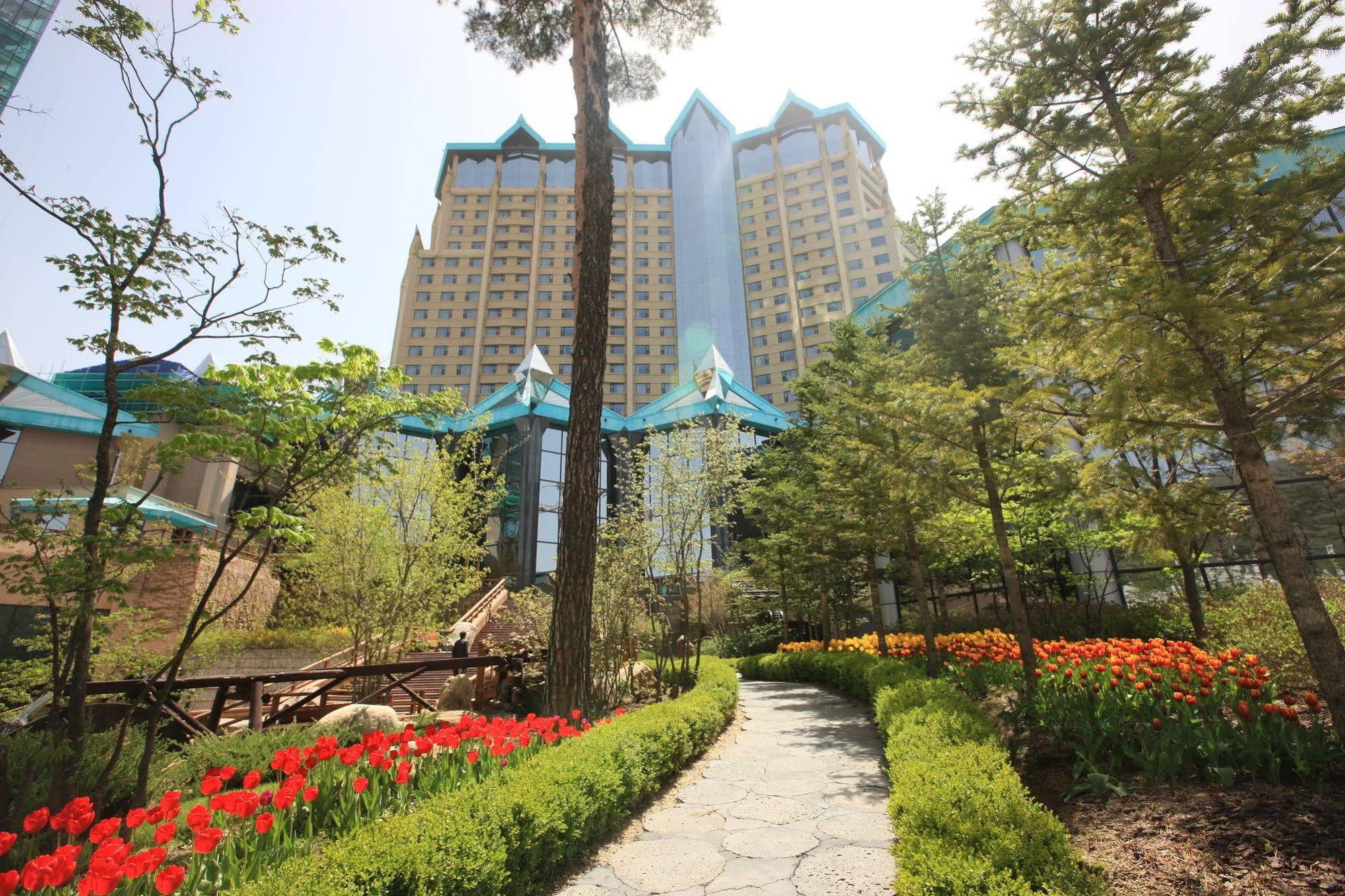 High1 Grand Hotel Main Tower Jeongseon Exterior foto