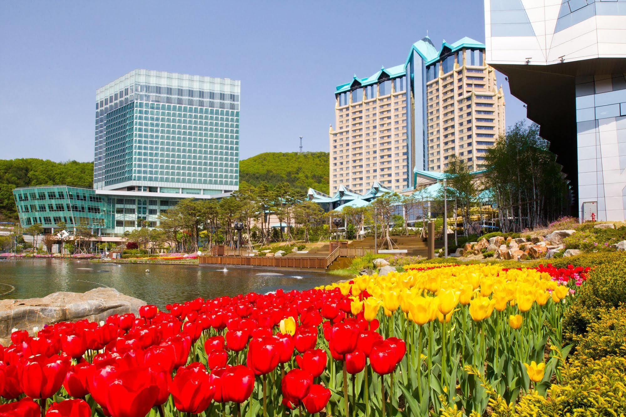 High1 Grand Hotel Main Tower Jeongseon Exterior foto